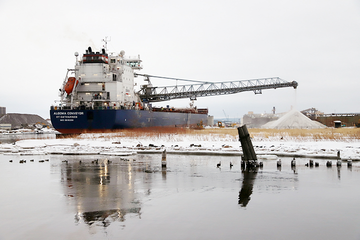 Algoma Conveyor